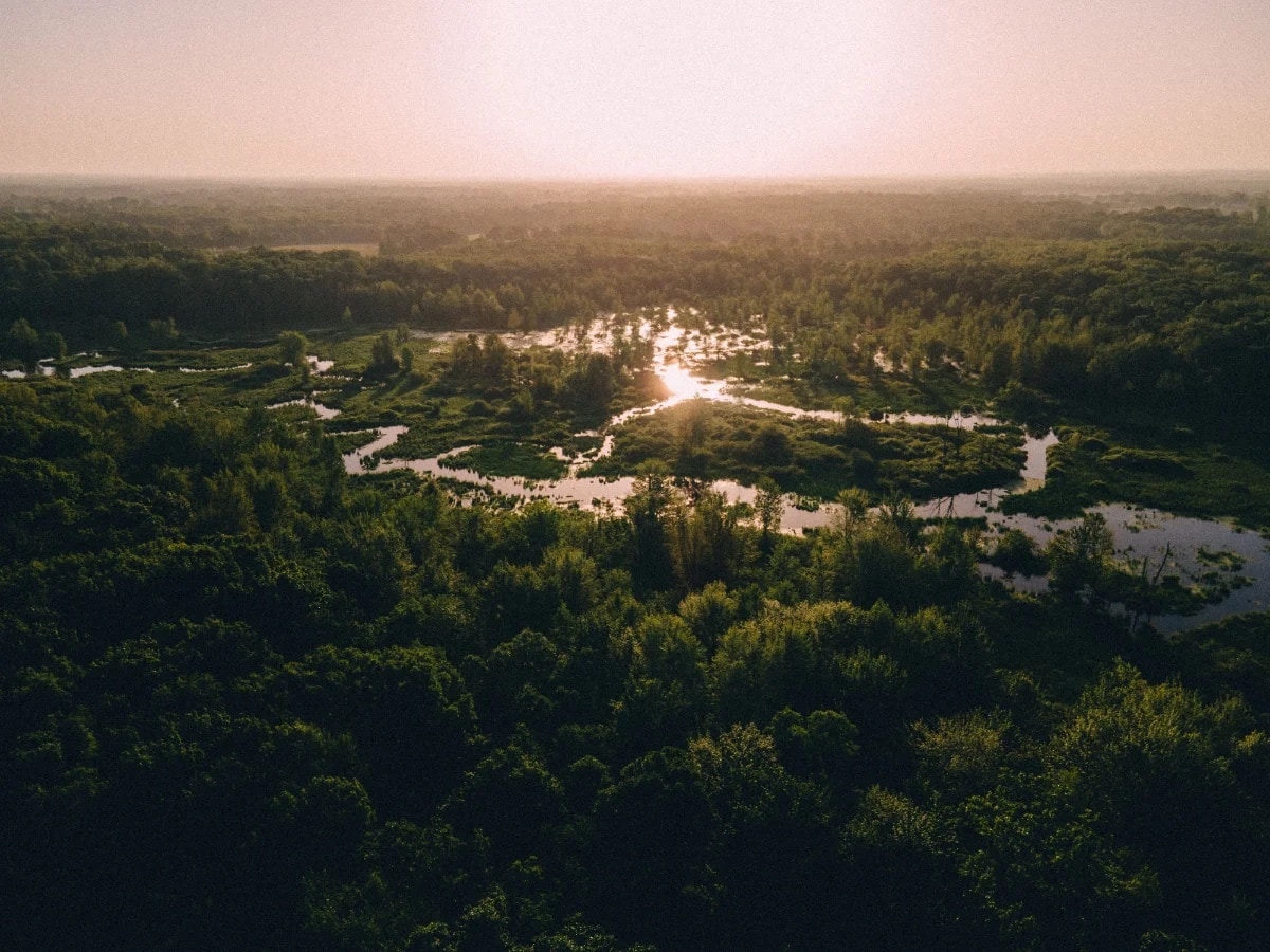 Aerial view of an Indian wetland at sunrise