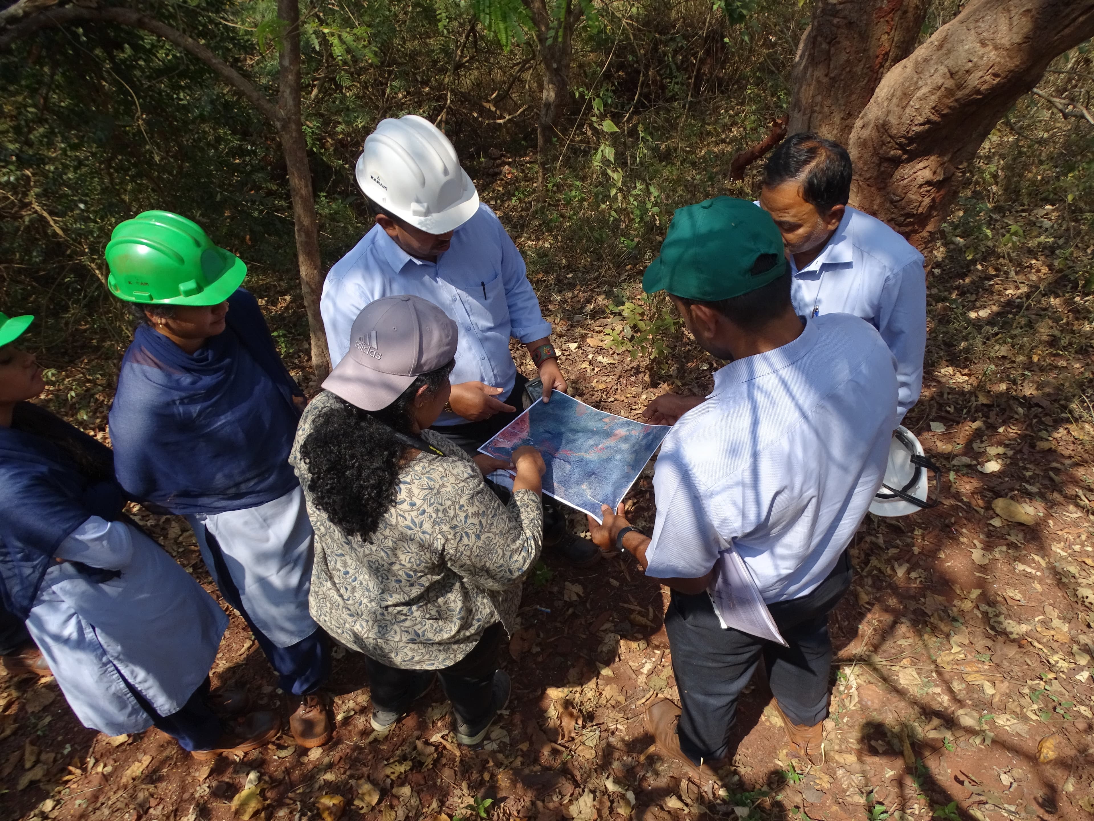 Forest Clearance Services