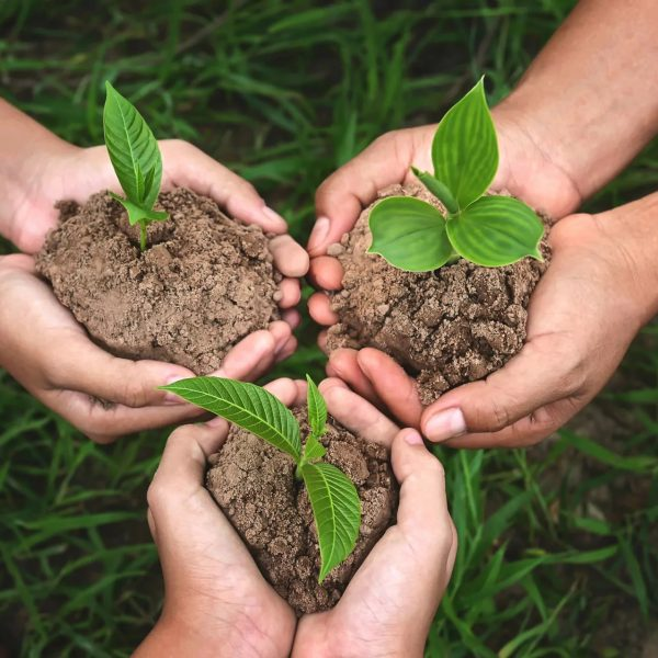 Our work in nature