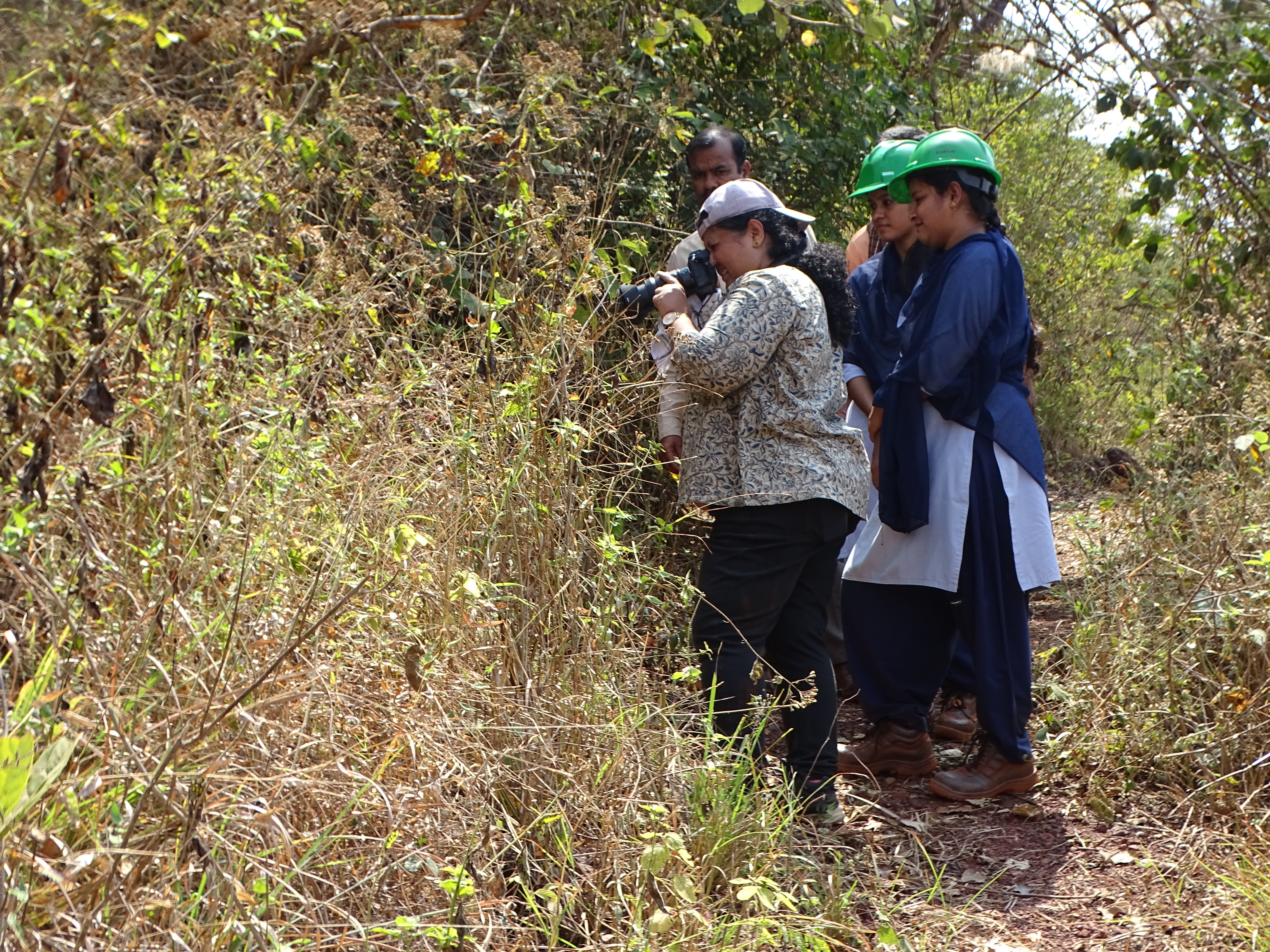 Forest Clearance Process