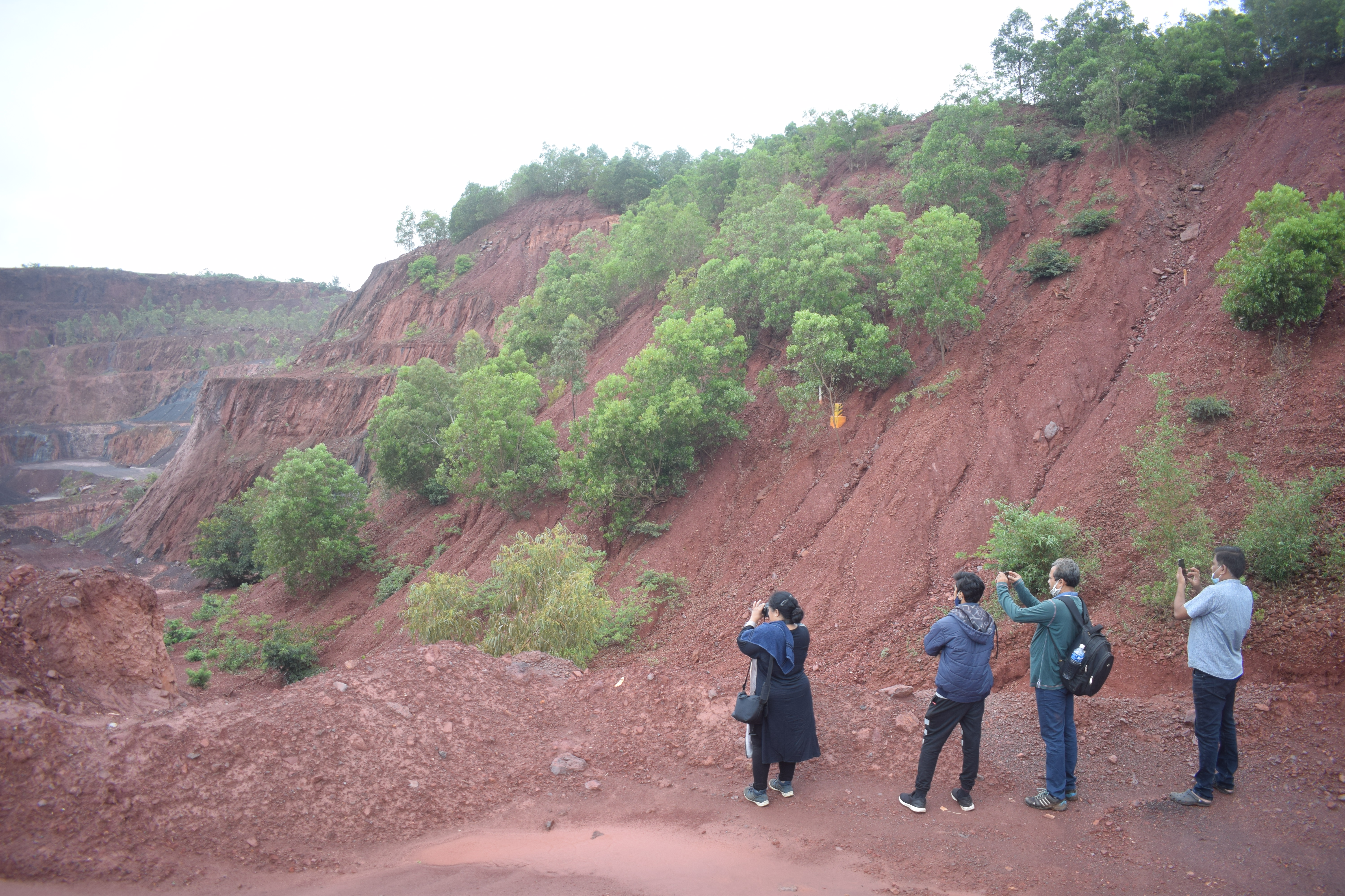 Ecological Restoration Process